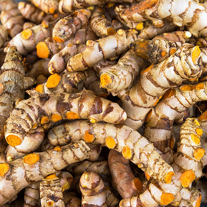 Turmeric Powder Organic - Image 2