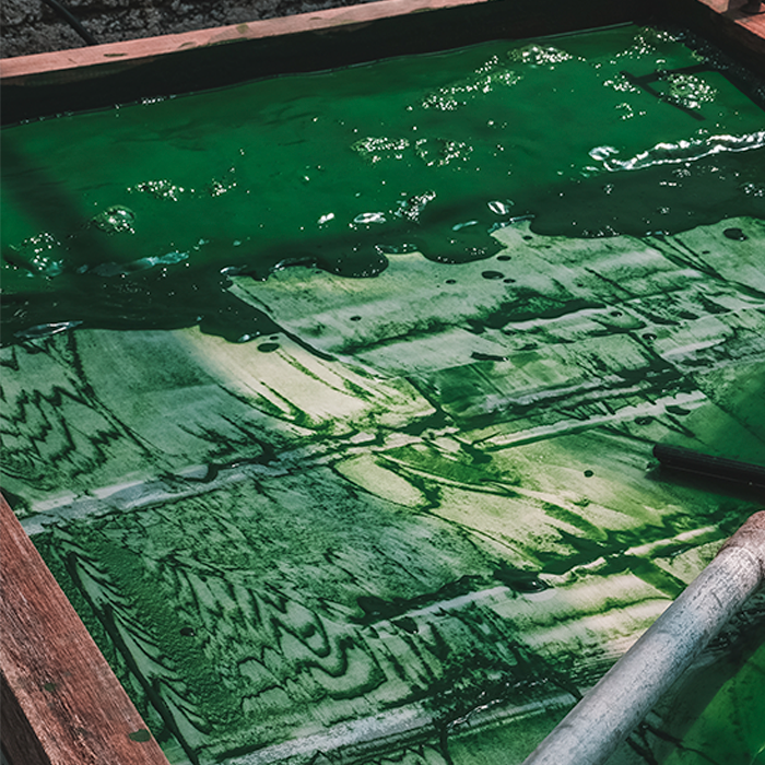 Spirulina Powder Organic - Image 4