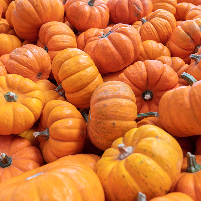 Pumpkin Seeds Organic - Image 2