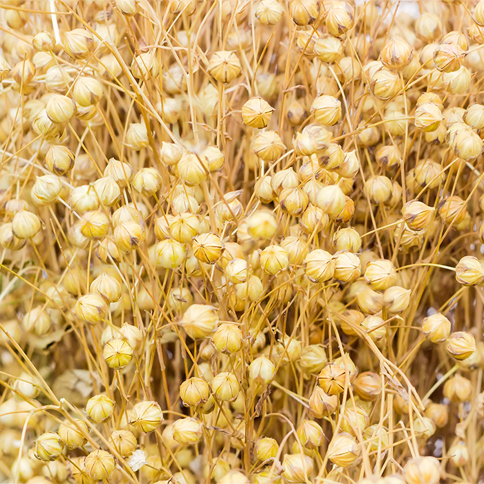 Flax Seeds Milled Organic - Image 2