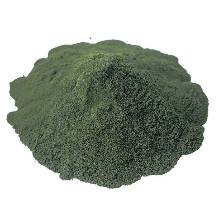 Broccoli Powder Organic