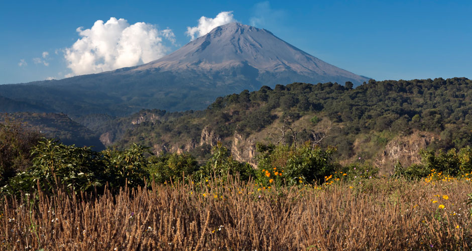 Chia Seeds Organic - Image 2