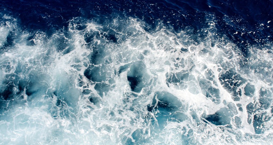 MSM Powder - Image 2