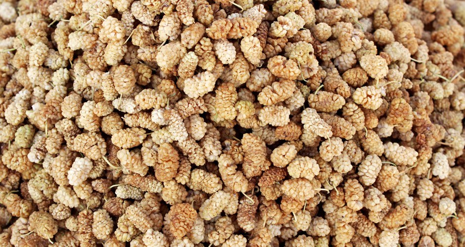 Mulberries Dried White Organic - Image 3