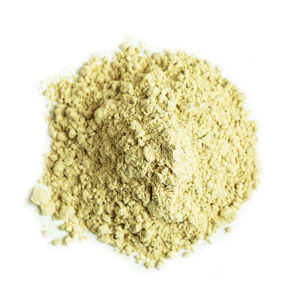 Shiitake Mushroom Powder Organic